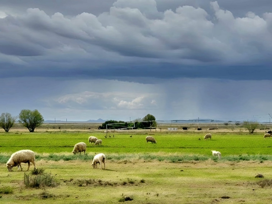 Commercial Property for Sale in Petrusburg Rural Free State
